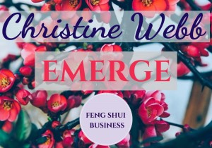 Christine Webb - FENG SHUI BIZ
