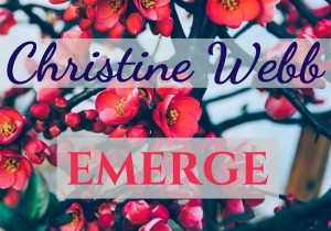 Christine Webb - LOGO