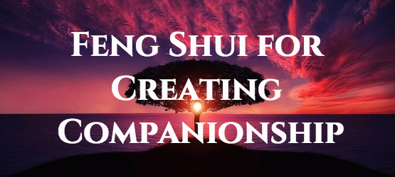 Chris Webb - fengshui for companions